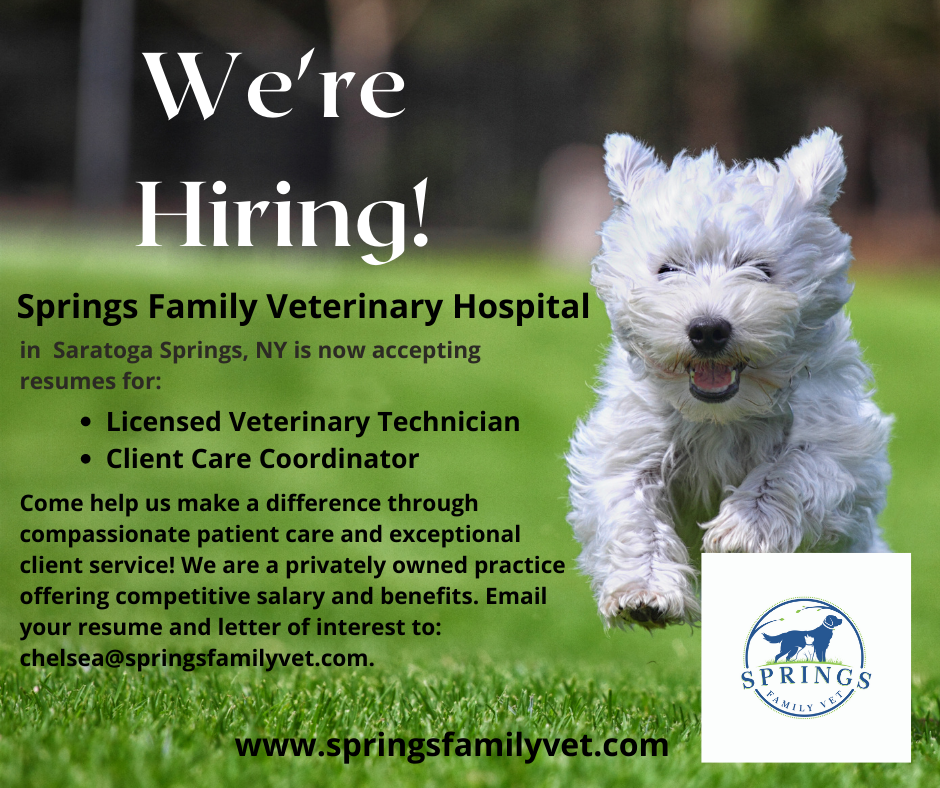 Springs Family Veterinary Hospital Saratoga Springs, NY Home